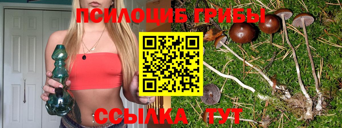 Меф  Канабис  Магазины продажи наркотиков  Alpha PVP СОЛЬ   ЭКСТАЗИ  Вход с VPN  Кувандык  МЕФ кристаллы  МЕТ  ГАШИШ 