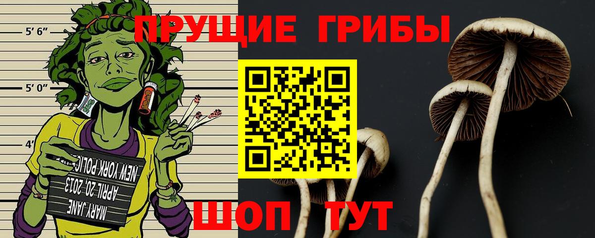 Галлюциногенные грибы прущие грибы Кувандык