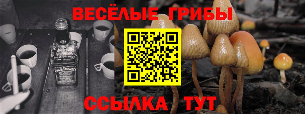 Псилоцибиновые грибы Magic Shrooms  Вход с VPN  Кувандык 